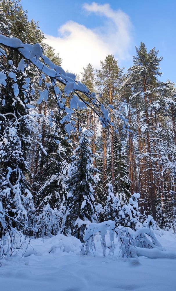 Фотография автора Марина Артемьева