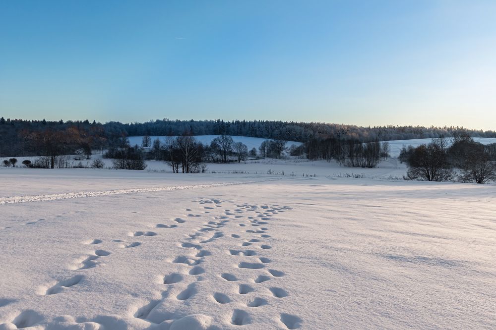 Фотография автора Алексей Бирин