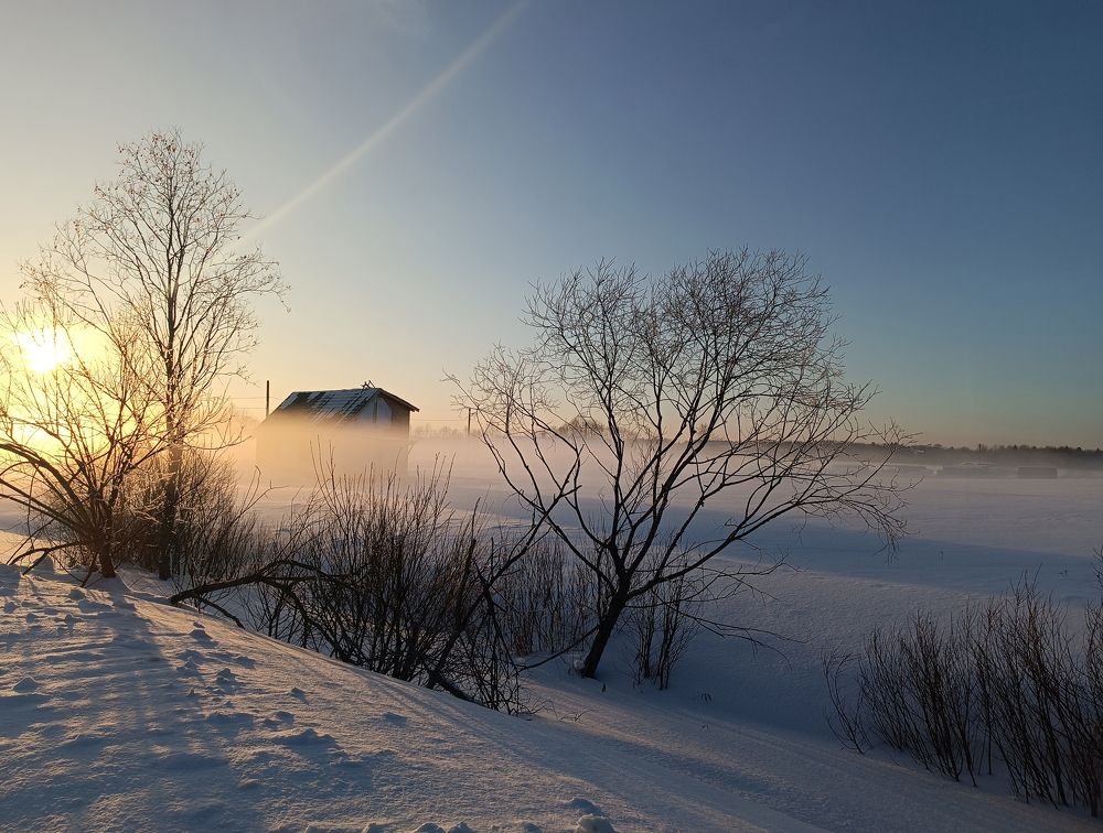 Фотография автора Алла Бойко