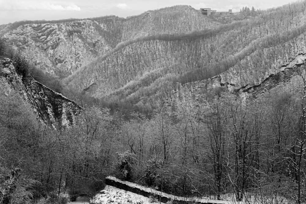 Photograph by Ivan S.