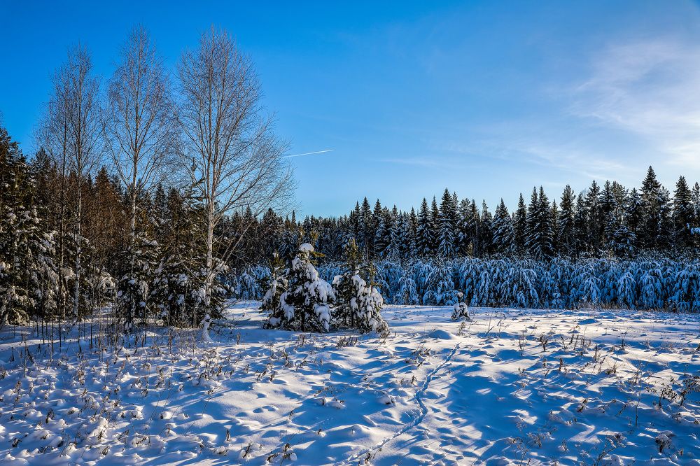 Фотография автора Юрий Фефилов