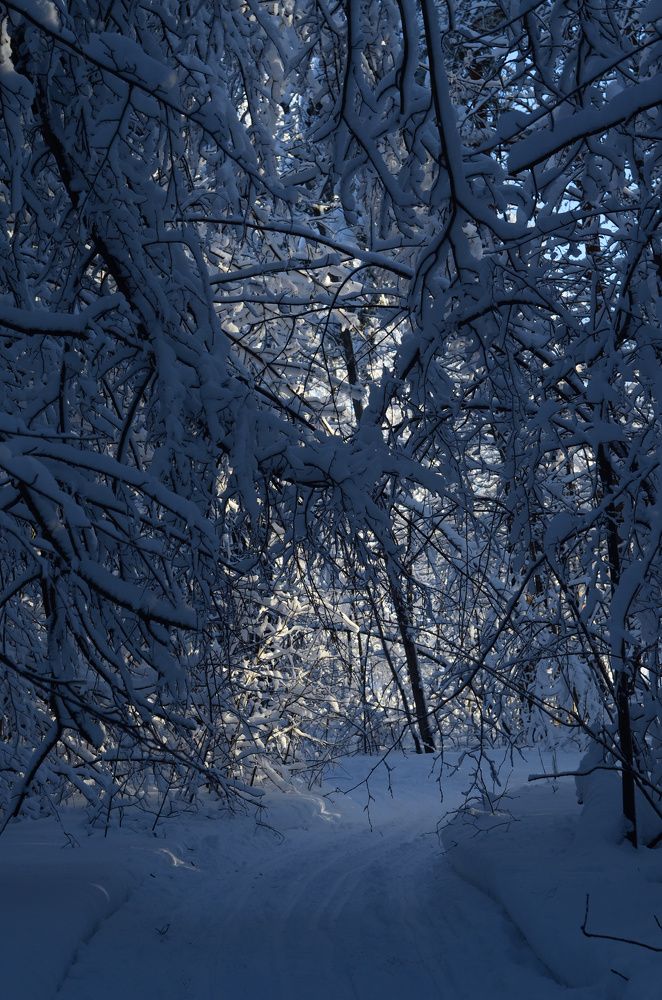 Фотография автора Вадим Писарев
