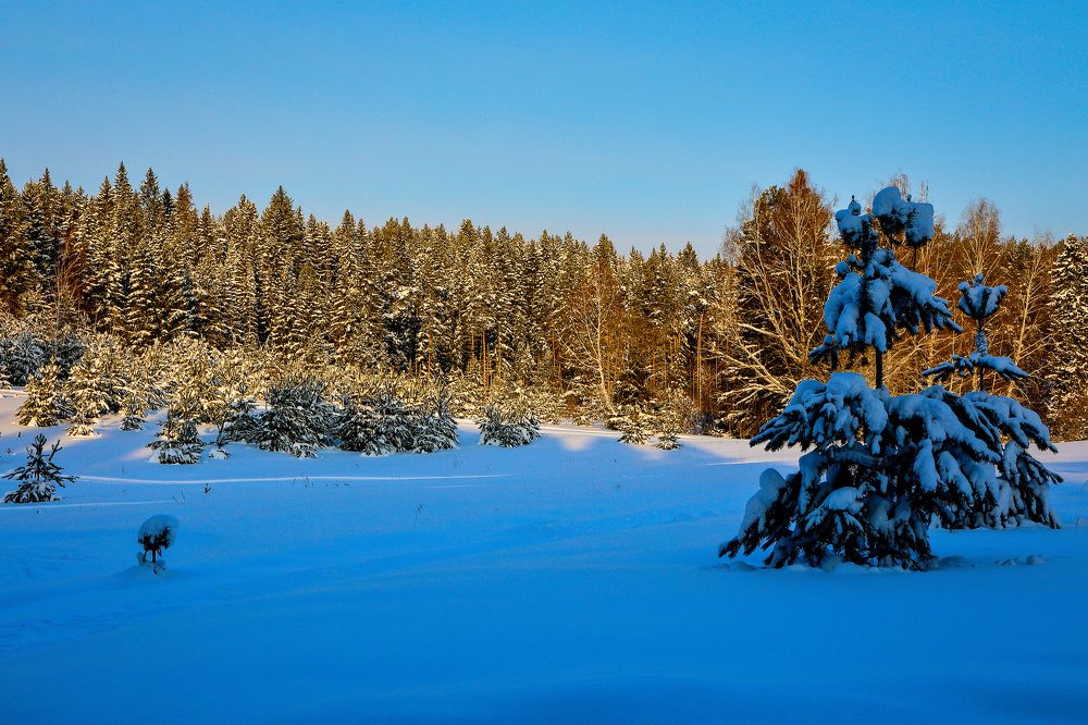 Фотография автора Юрий Фефилов