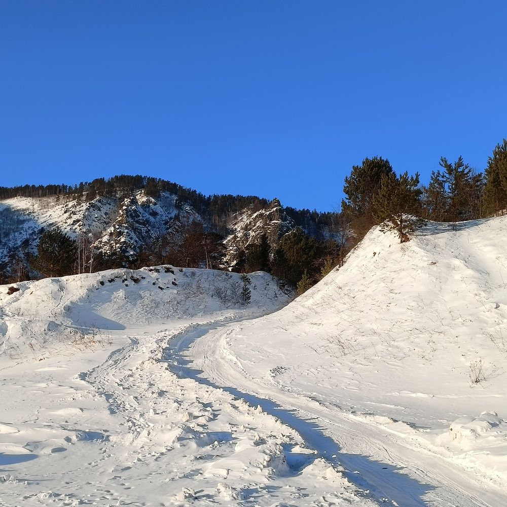 Фотография автора Анастасия Горбачева