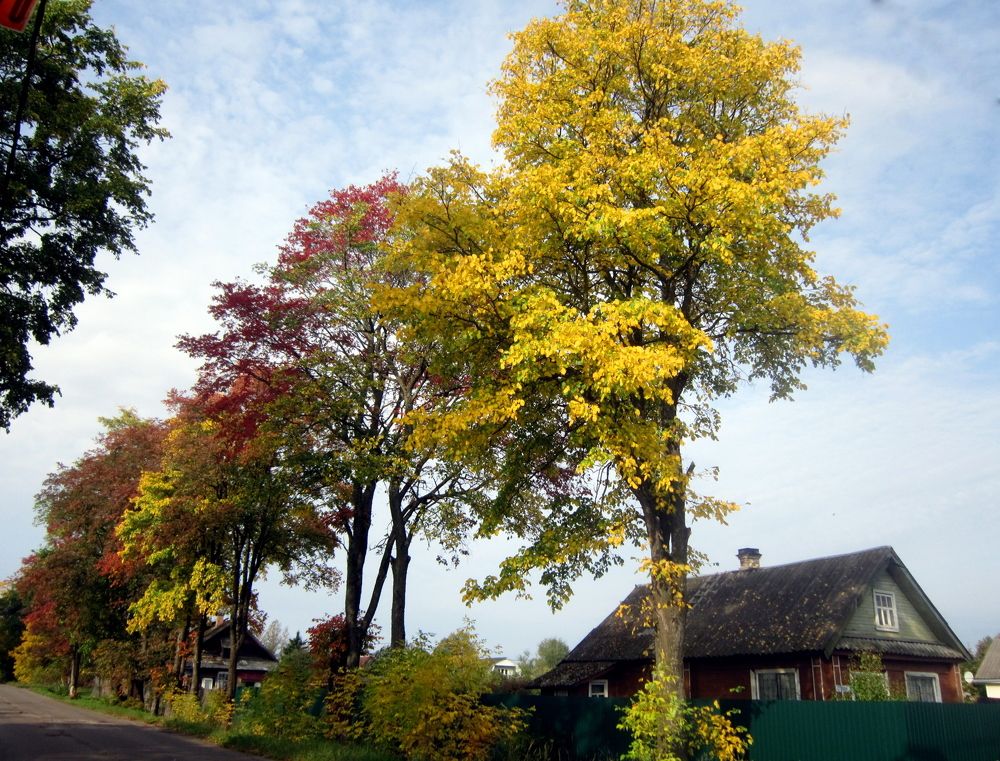 Photograph by Ольга Владимировна Мухина
