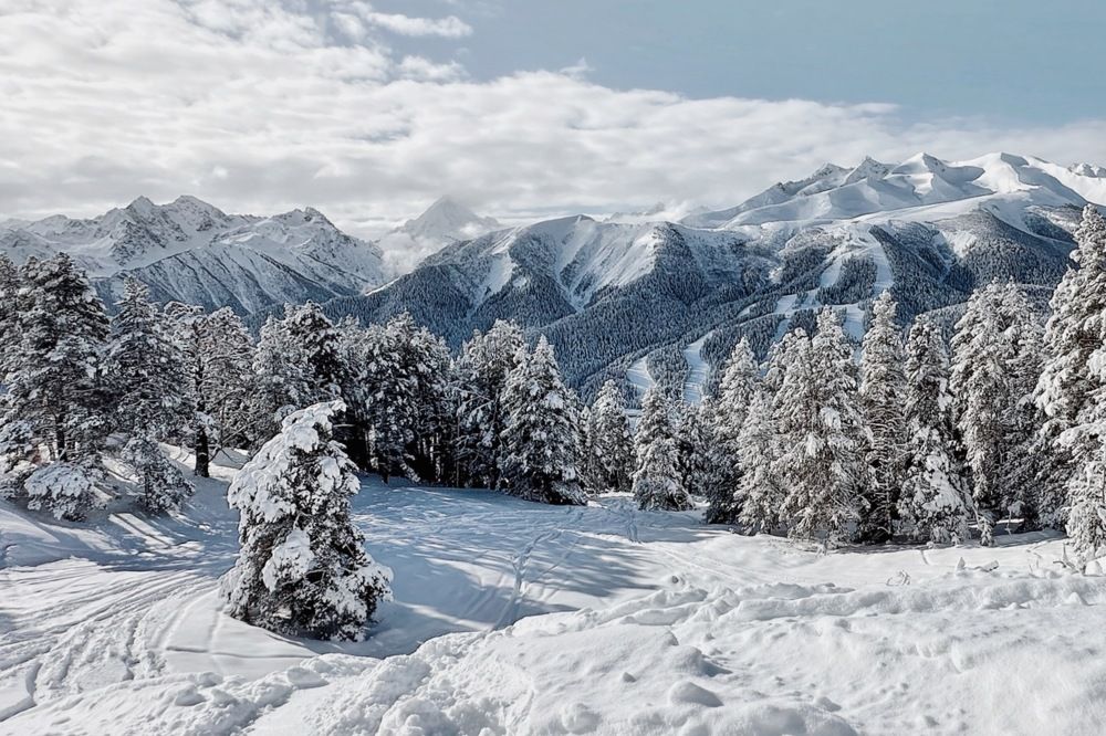 Photograph by Евгения Никишина