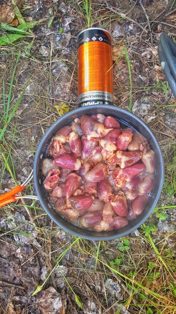 Фотография автора Ivan Karpoff