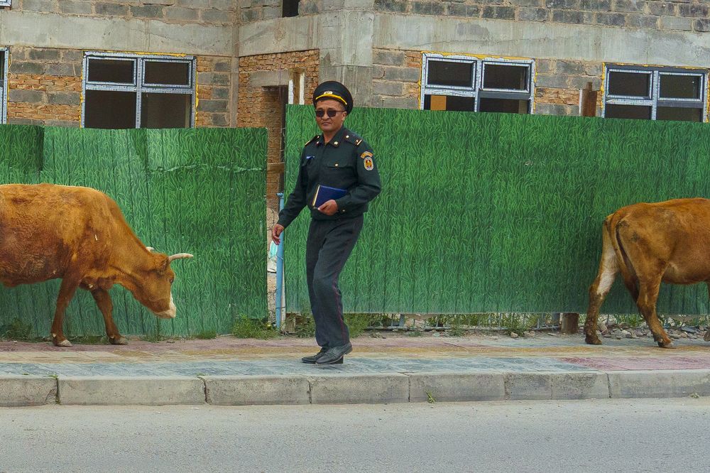 Photograph by Нина Овчинникова