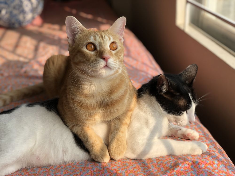 Photograph by Jubaida Begum