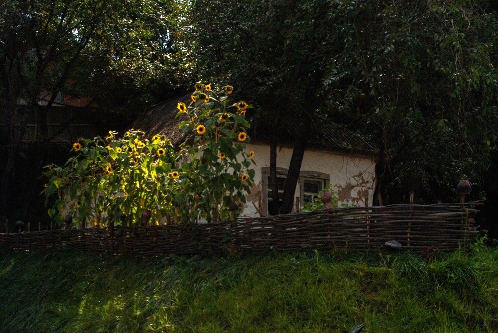 Photograph by Любава Носкова