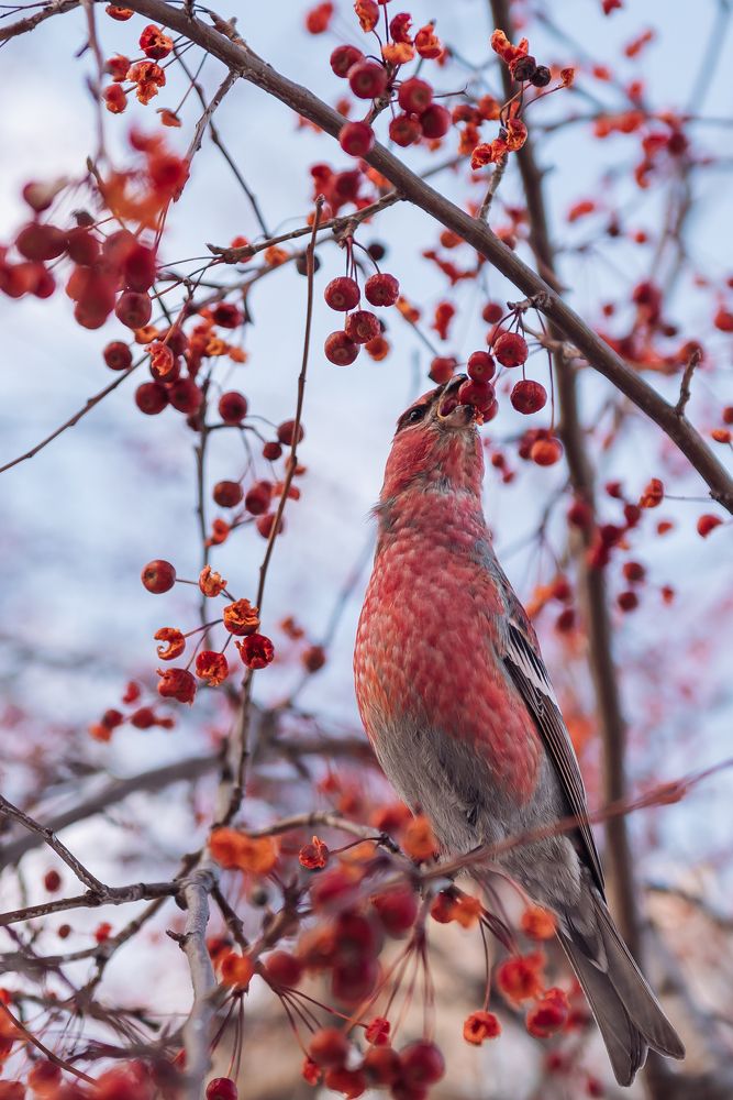 Photograph by Татьяна Ровенская