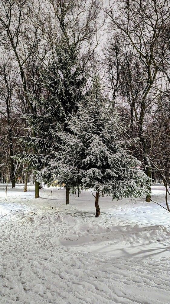 Photograph by Герман Крючков