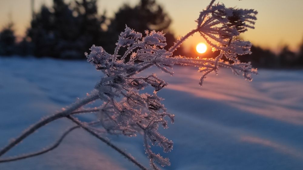 Фотография автора Марина Артемьева