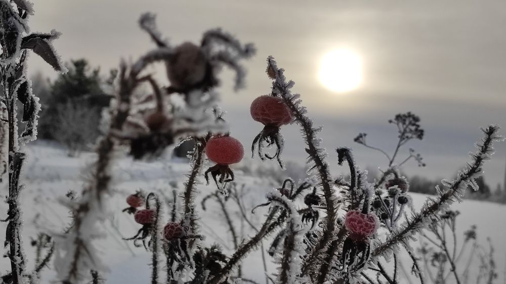 Фотография автора Марина Артемьева