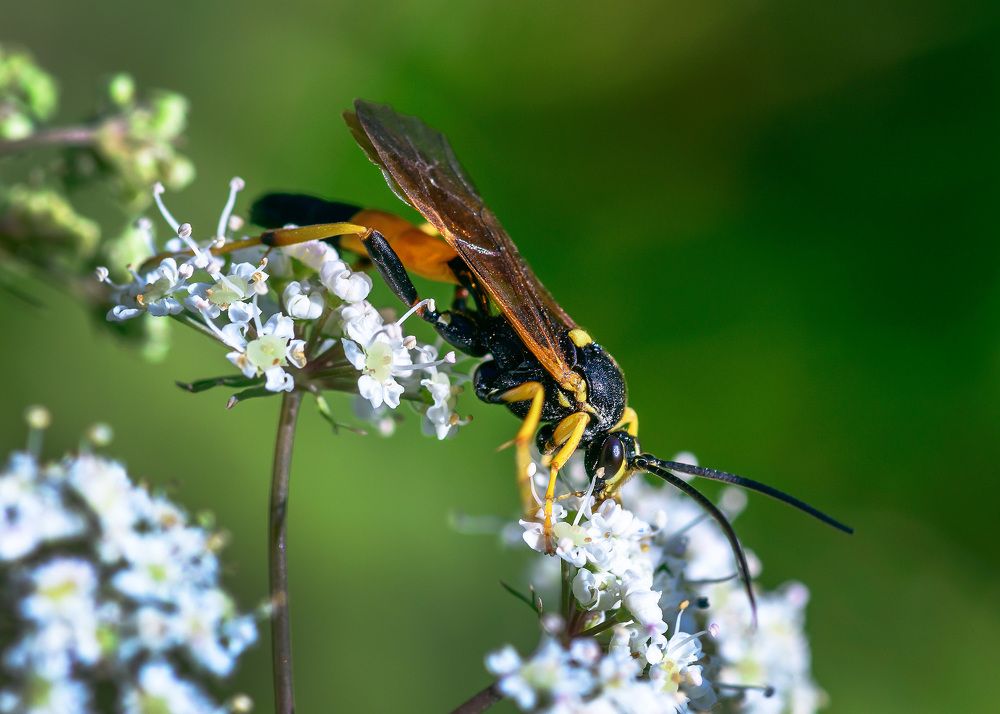 Photograph by Valery Pegushev