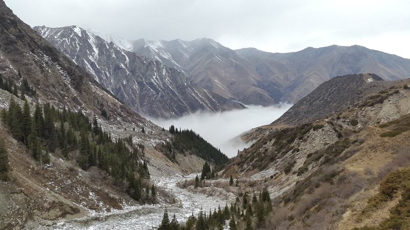 Talant Abdyldaev, Kyrgyzstan (Kyrgyzstan)