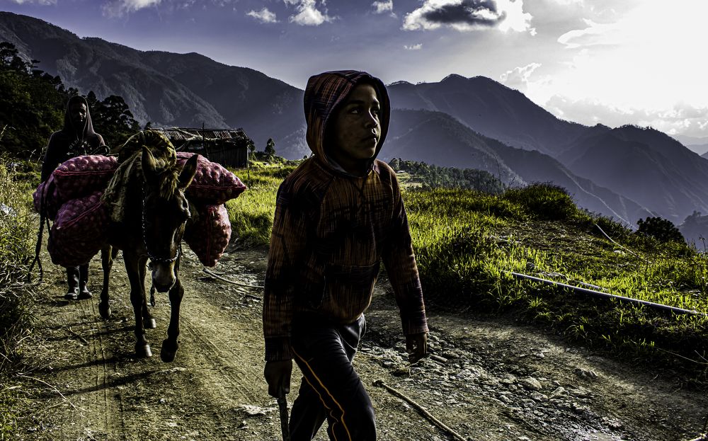 Photograph by Giovanni Alvarado Fis