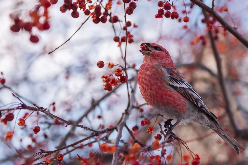 Photograph by Татьяна Ровенская