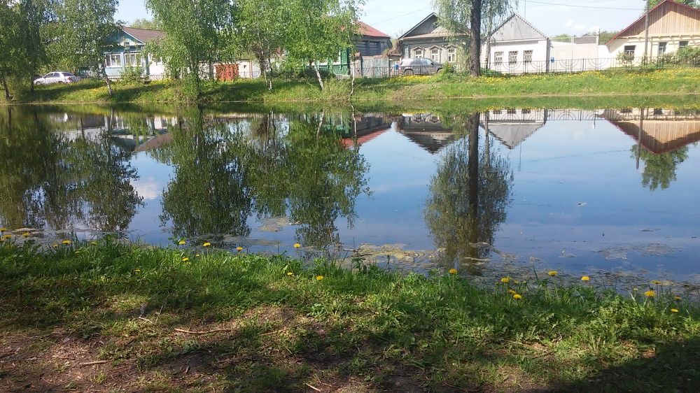 Фотография автора Елена Лещева