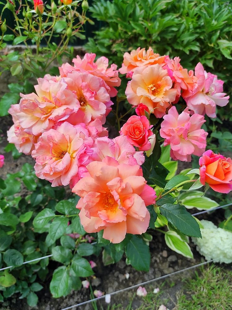 Photograph by Дмитрий Якимов