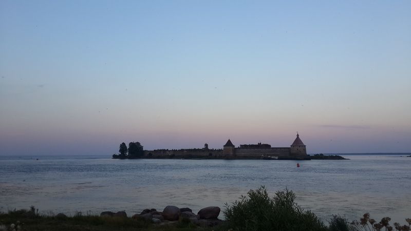 Алиса, USA