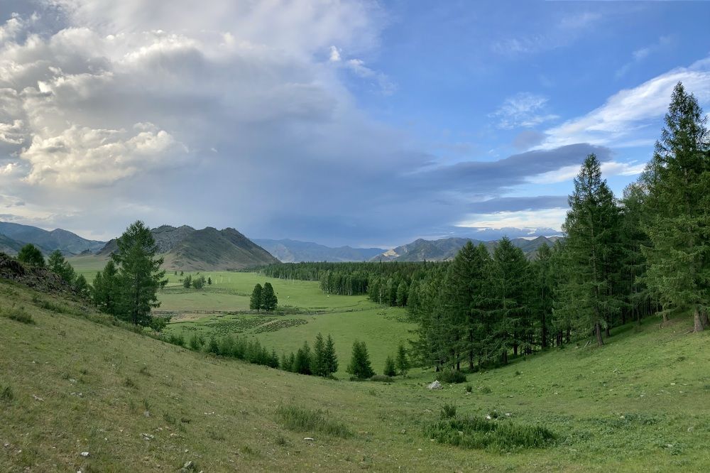 Photograph by Наталья Пасечко