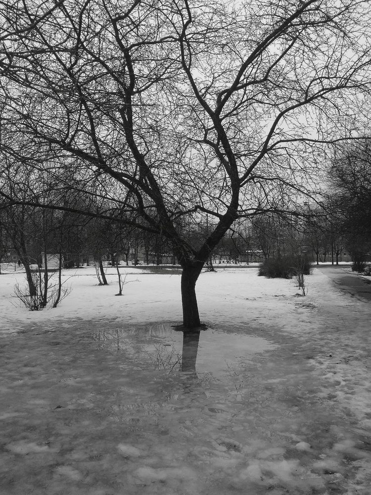 Фотография автора Светлана Таркан