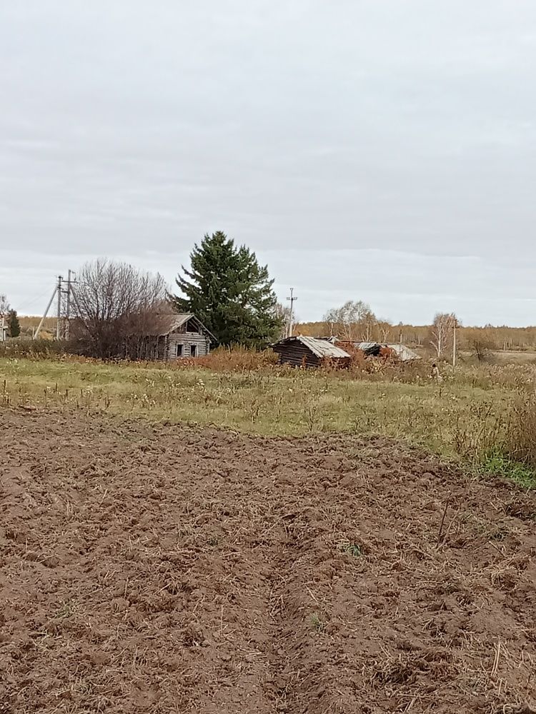 Photograph by Надежда Рулькова