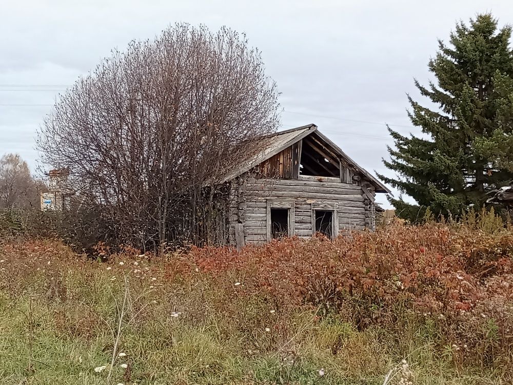 Photograph by Надежда Рулькова