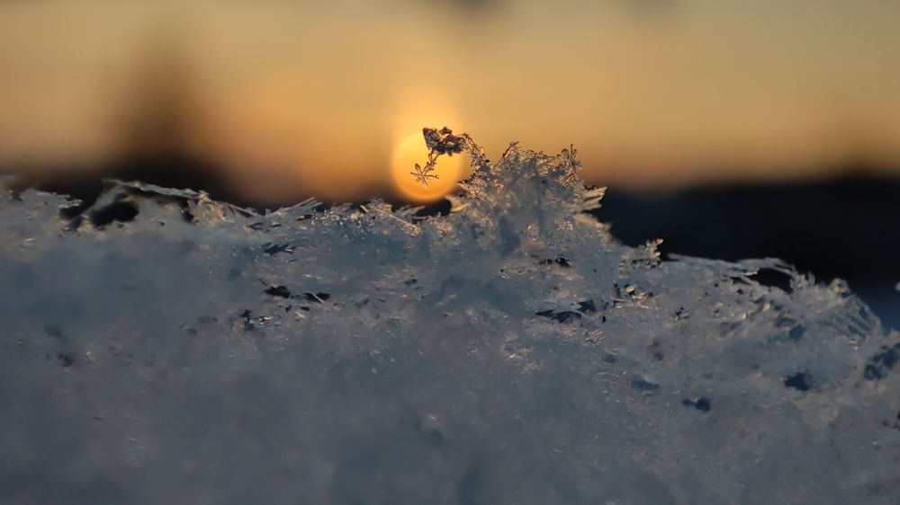 Фотография автора Марина Артемьева
