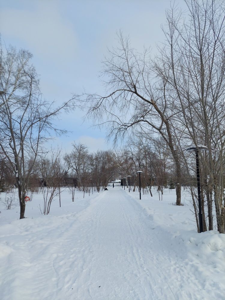 Photograph by Юденков Андрей