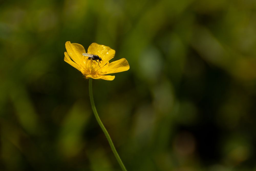 Photograph by Маргарита Седеева