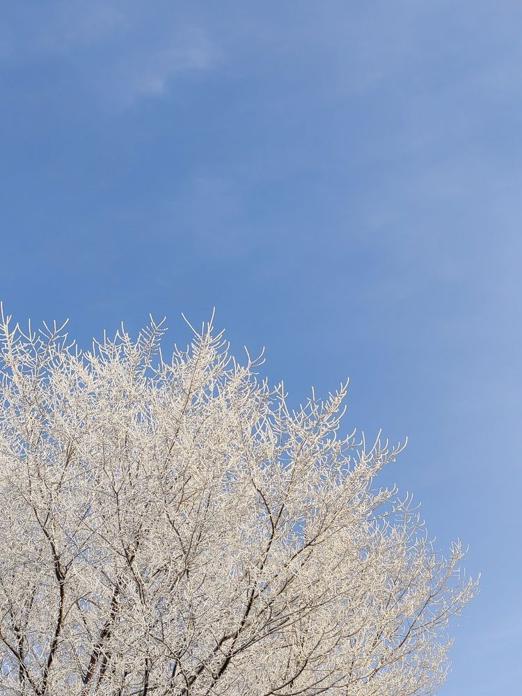 Photograph by Михаил Денисенко