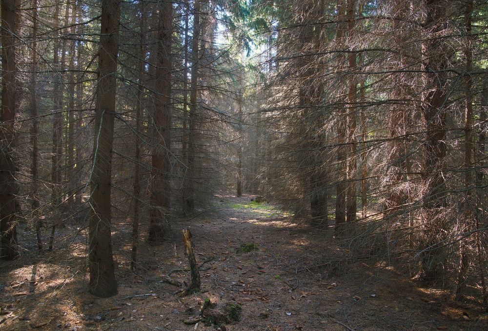 Photograph by Василий Быстрицкий