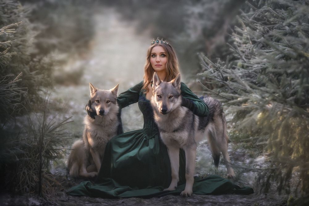 Фотография автора Валерия Афонасьева