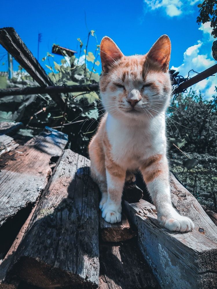 Photograph by Vladimir Kostyuchkov