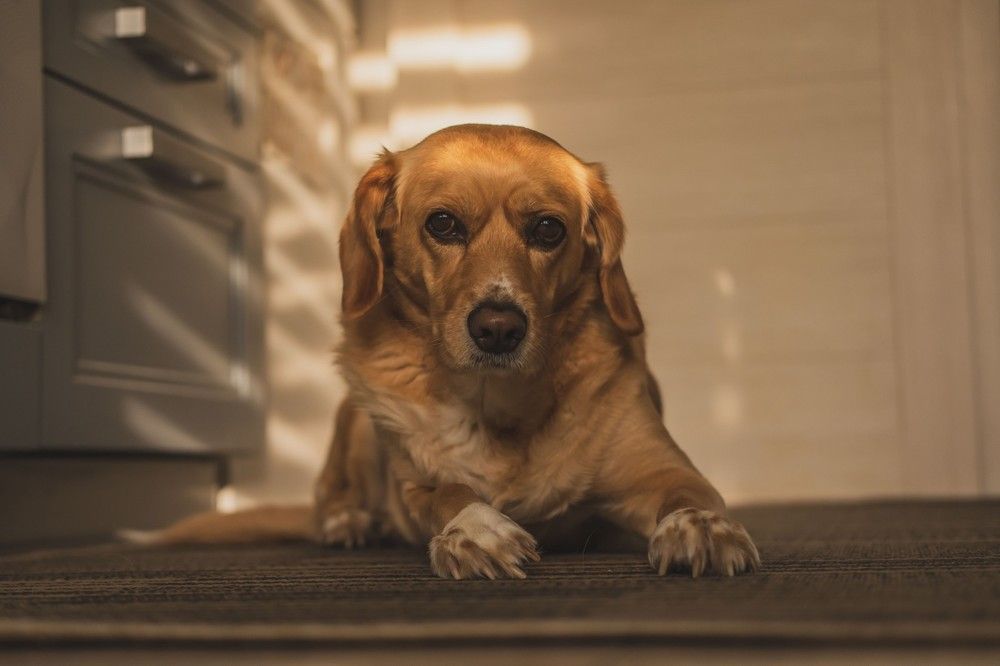 Photograph by Янина Найденцева