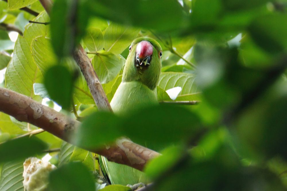 Photograph by Rachna Rajput