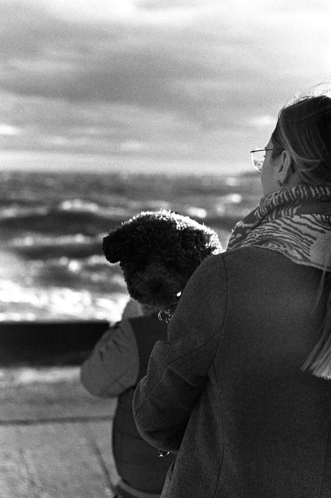 Photograph by Бочкин Михаил