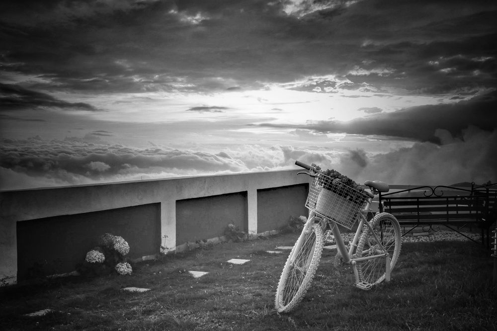 Photograph by Mauricio Mora Flores