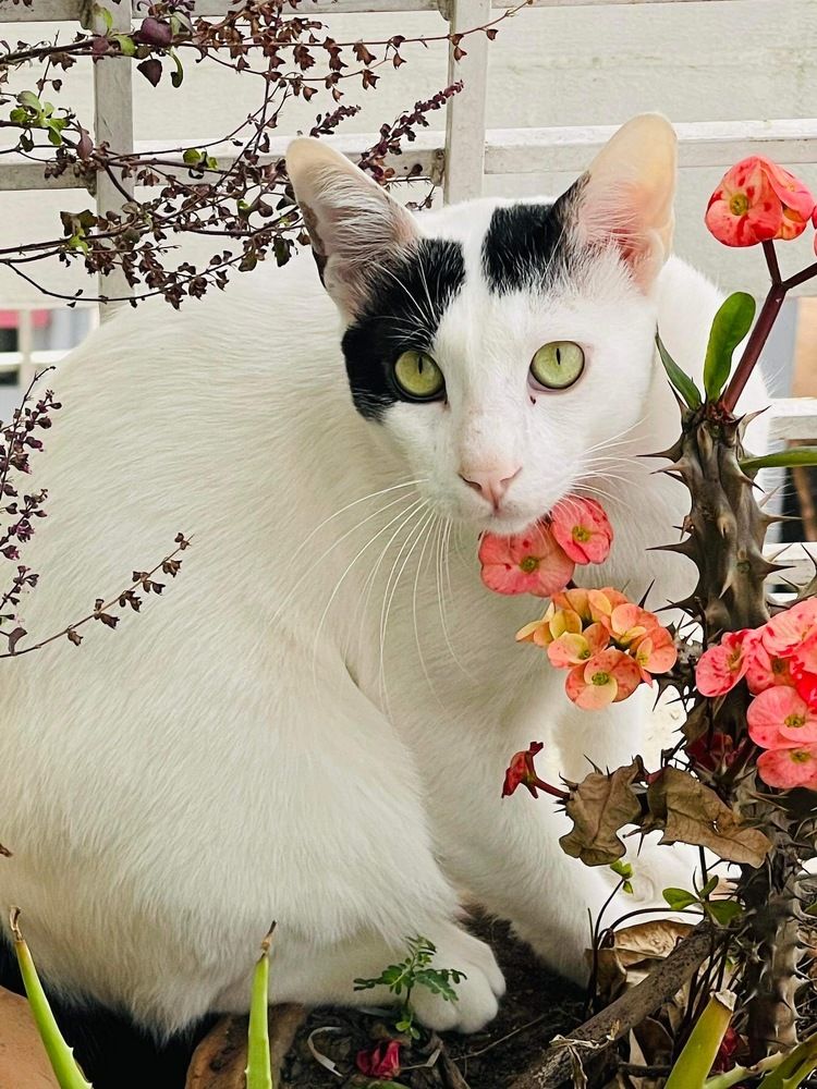 Photograph by Jubaida Begum