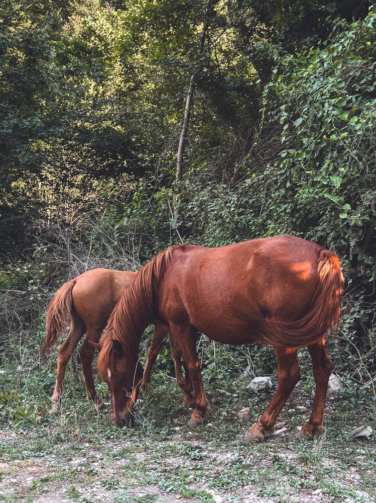 Photograph by Елена Гайдай
