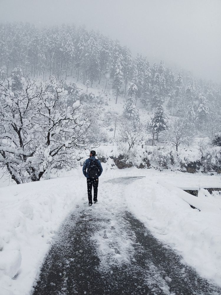 Photograph by Firdous Parray