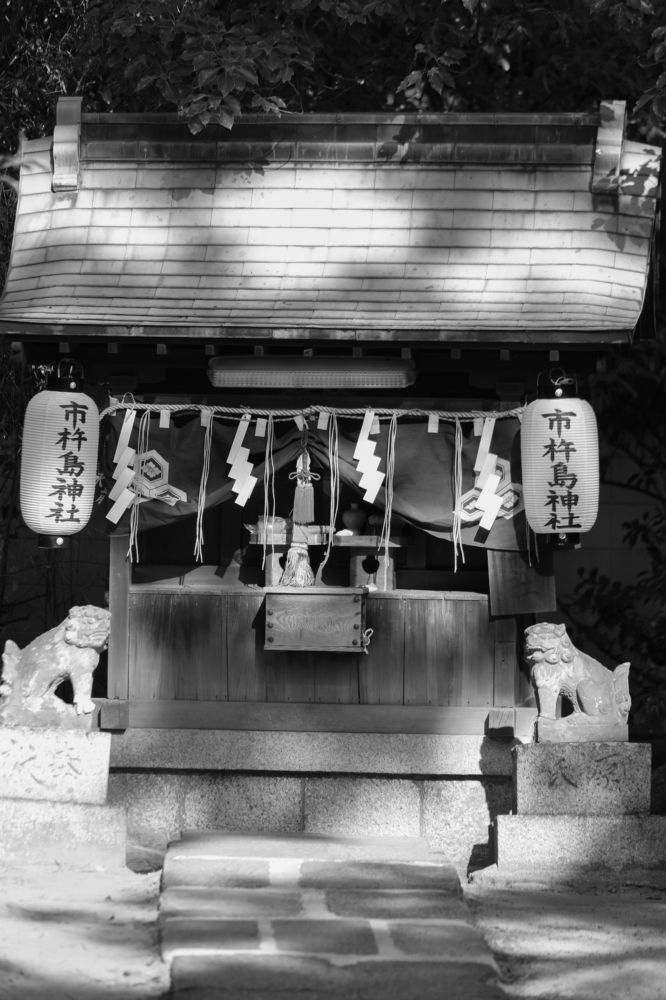 Photograph by Bùi Nguyễn