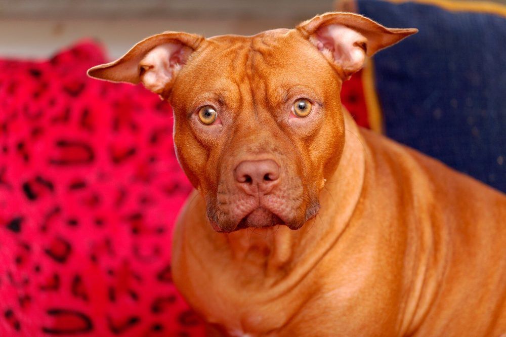 Photograph by Руслан Способин