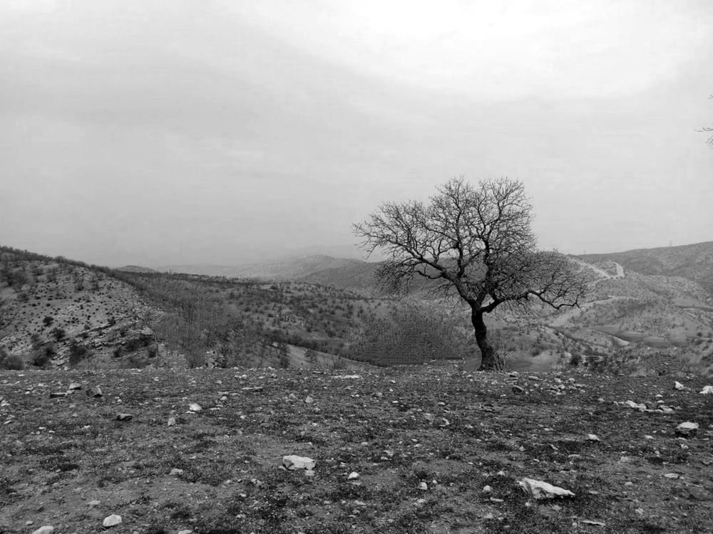 Photograph by Asma Rashidi