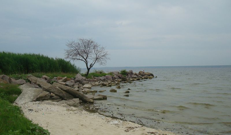 Роман, Ukraine