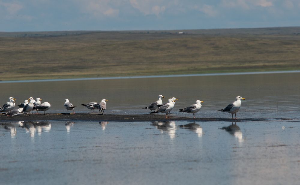 Фотография автора Алексей Арестов