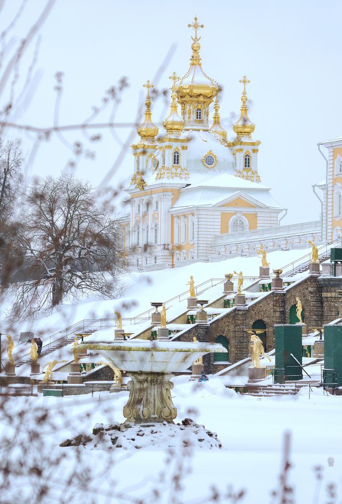 Фотография автора Yulia