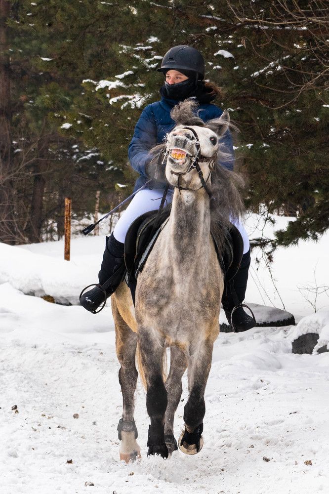 Photograph by Евгения Гунина